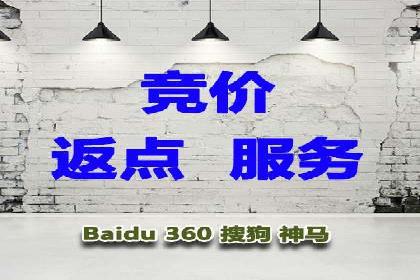 竞价排名的投放策略与效果评估案例
